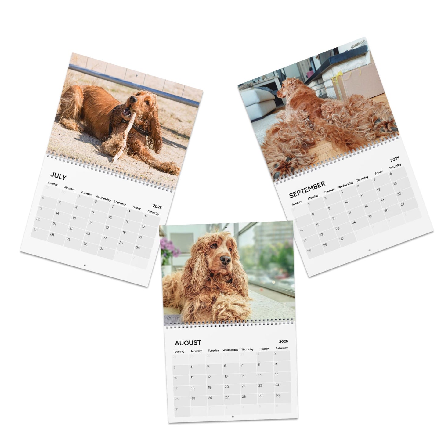 Cocker Chronicles: A Spaniel’s Guide to Happiness 2025 Calendar