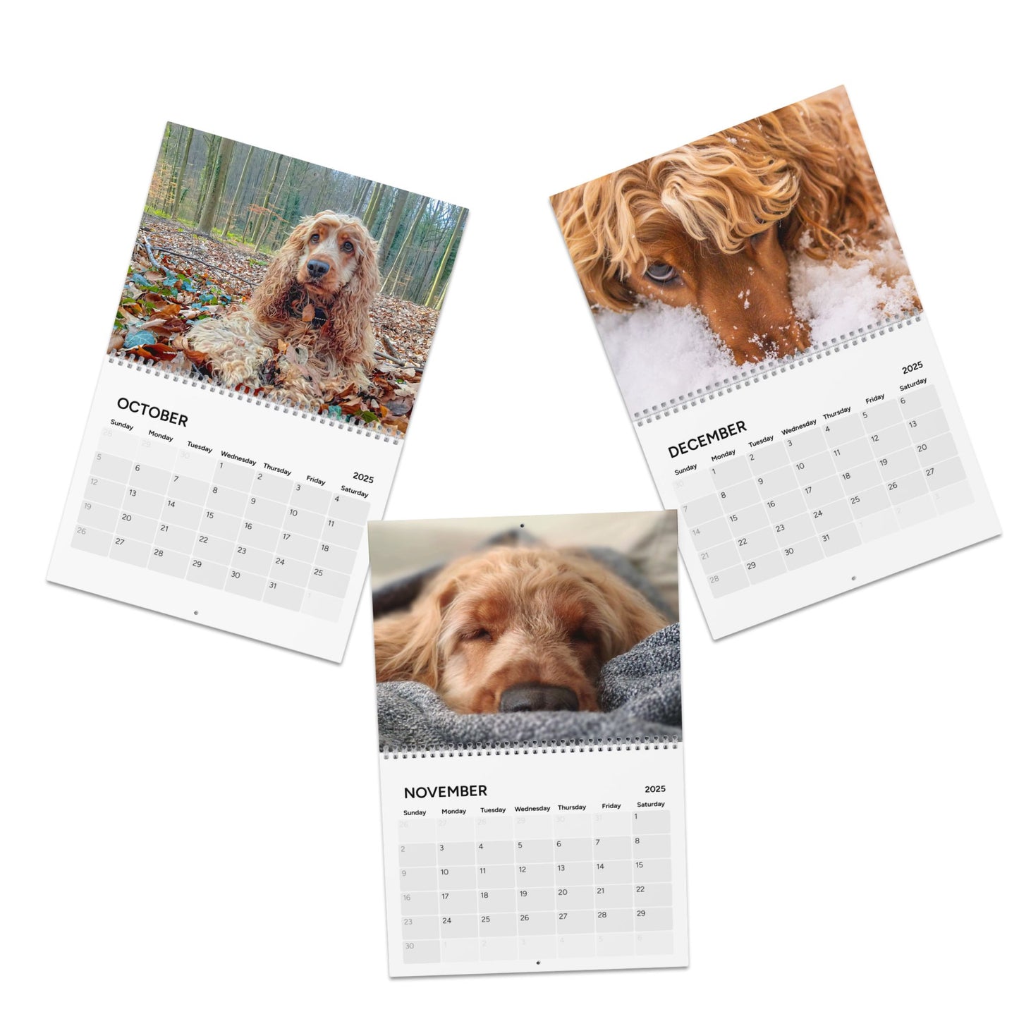 Cocker Chronicles: A Spaniel’s Guide to Happiness 2025 Calendar